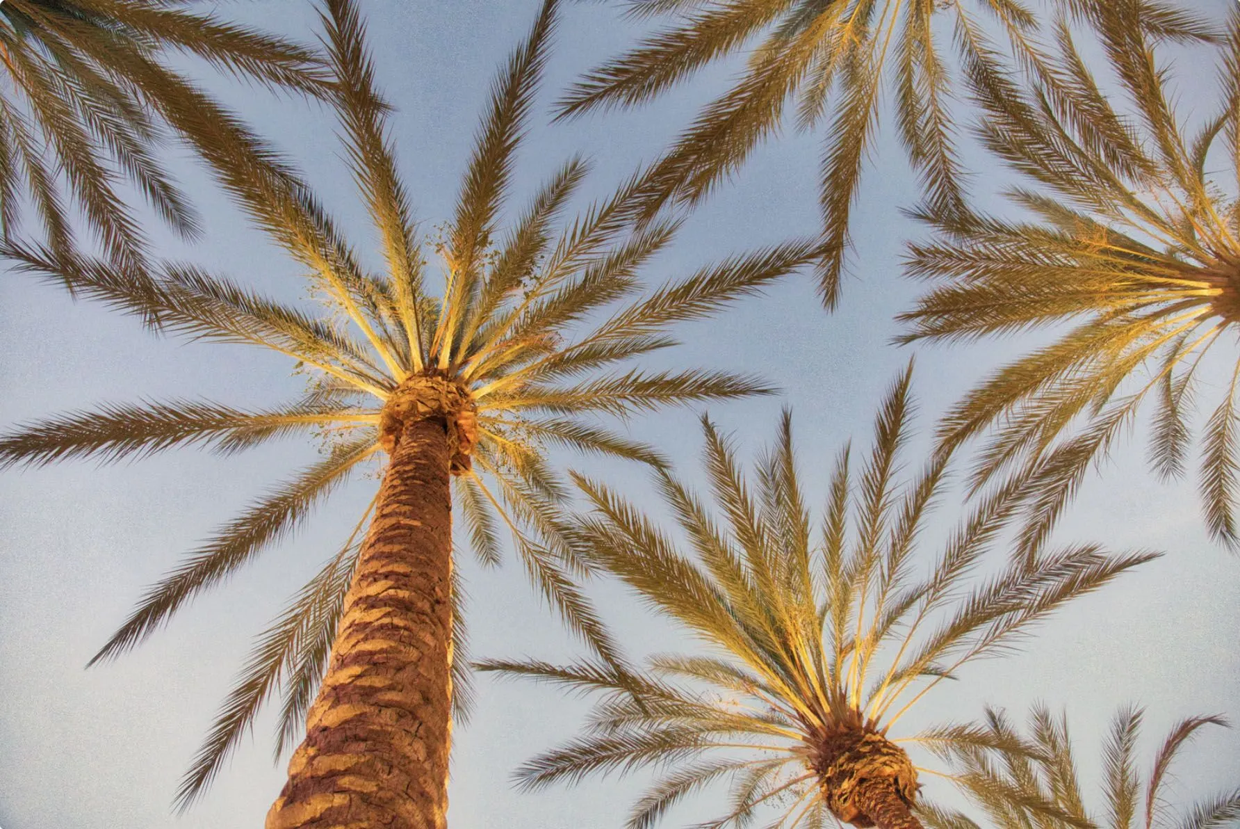 The Complete California Divorce Mediation Checklist: What to Bring, Goals to Have, and How to Choose a Mediator