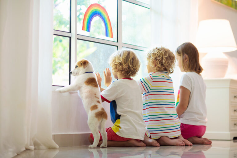 5 Reasons to Use a Mediator in Arizona