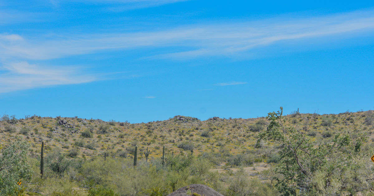 Goodyear, Arizona divorce mediation