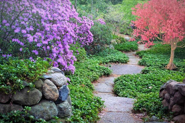 Colorful lush park with a rocky path that goes into the distance.