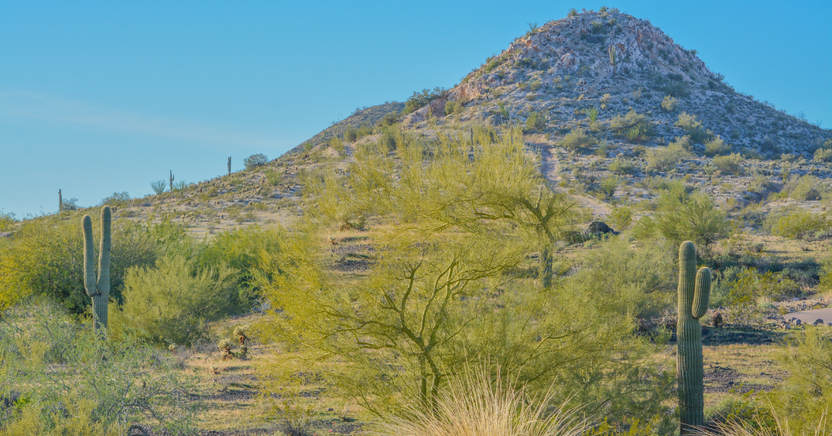 Peoria, Arizona divorce mediation