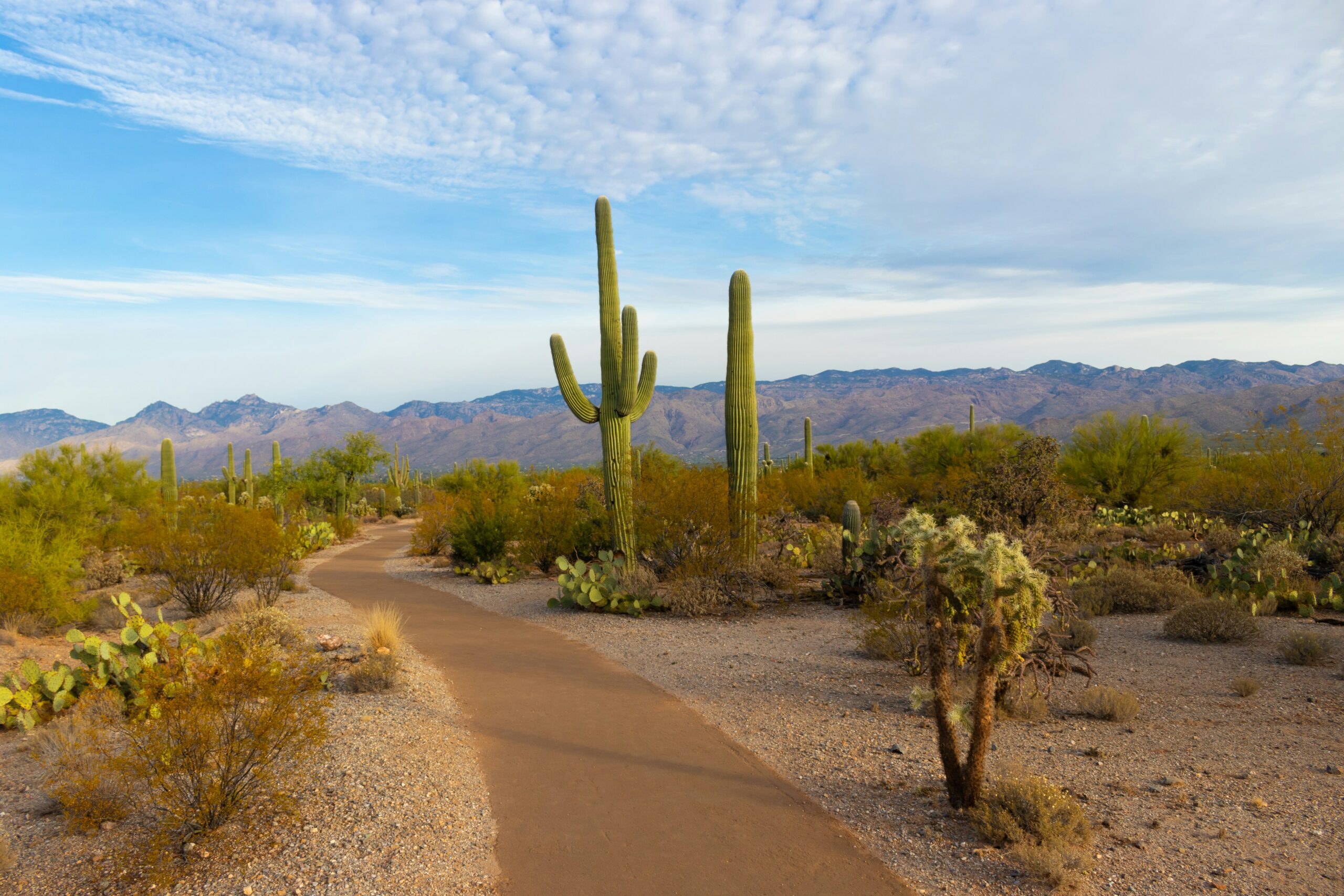 glendale divorce mediation