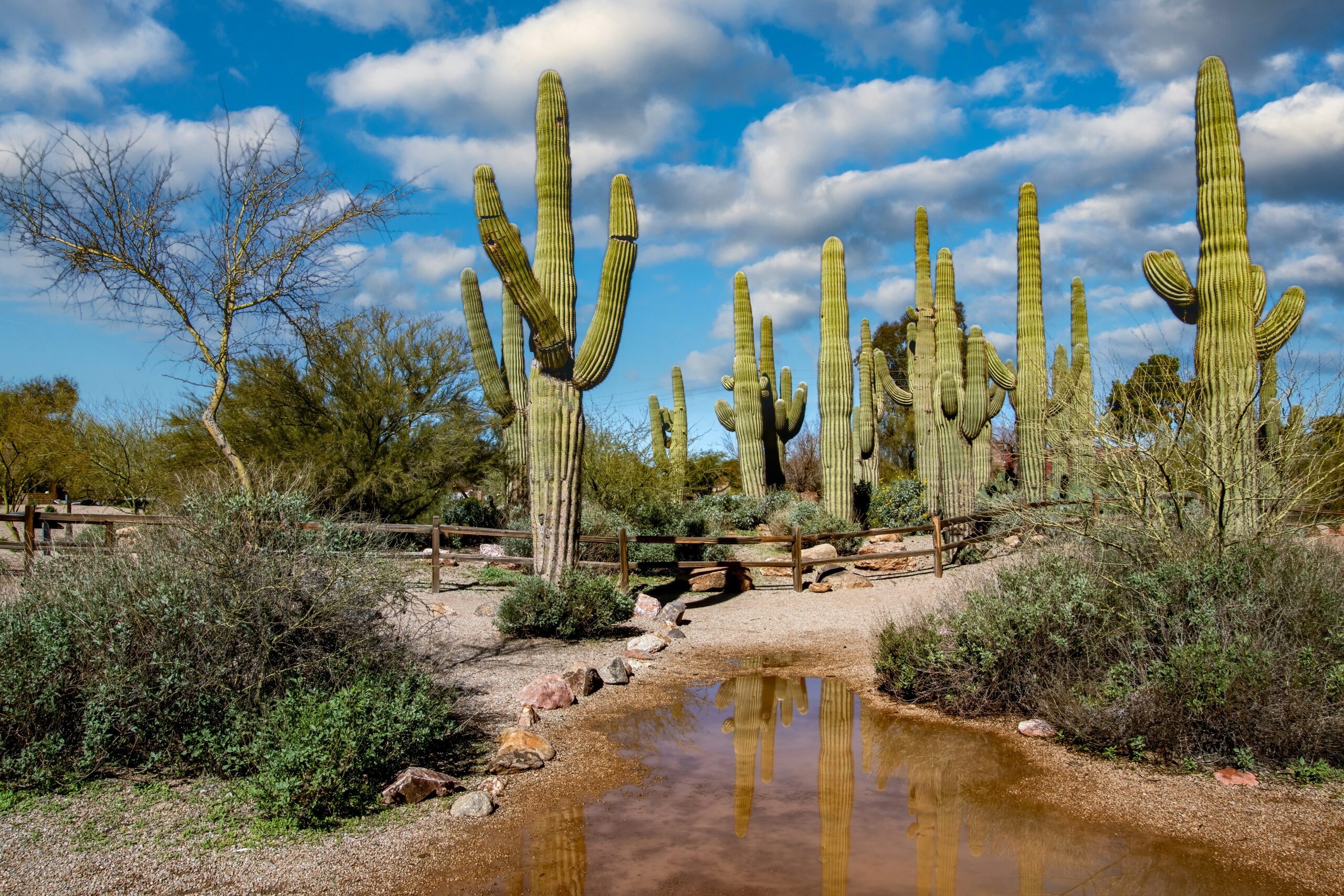 gilbert arizona divorce mediation mediators