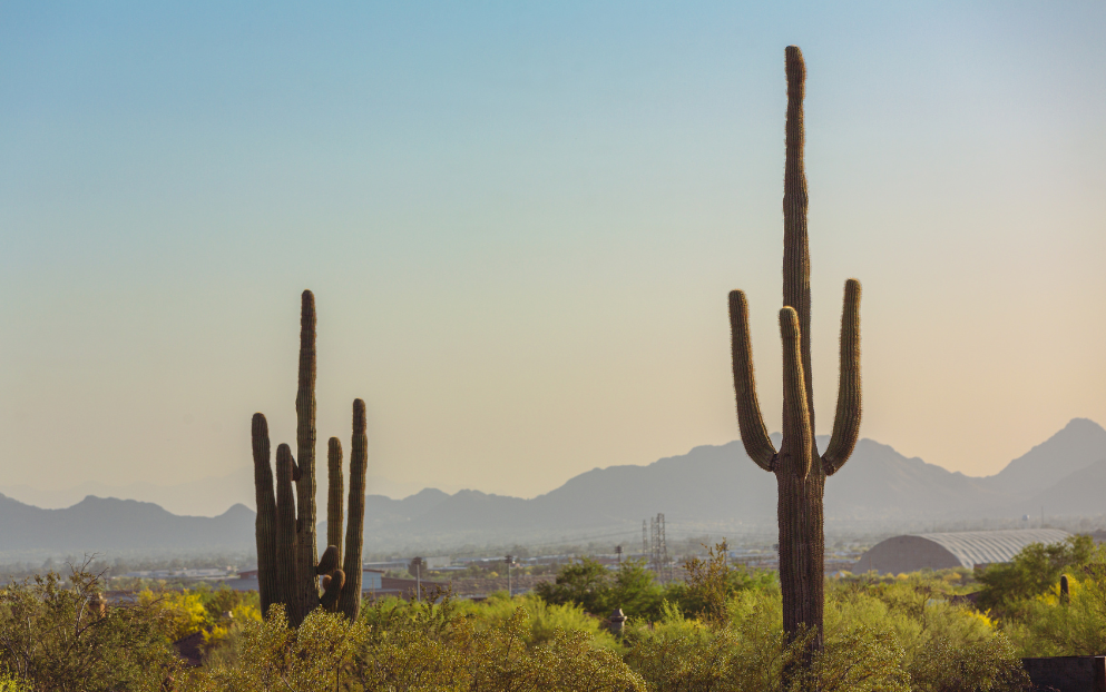 Buckeye, Arizona divorce mediation