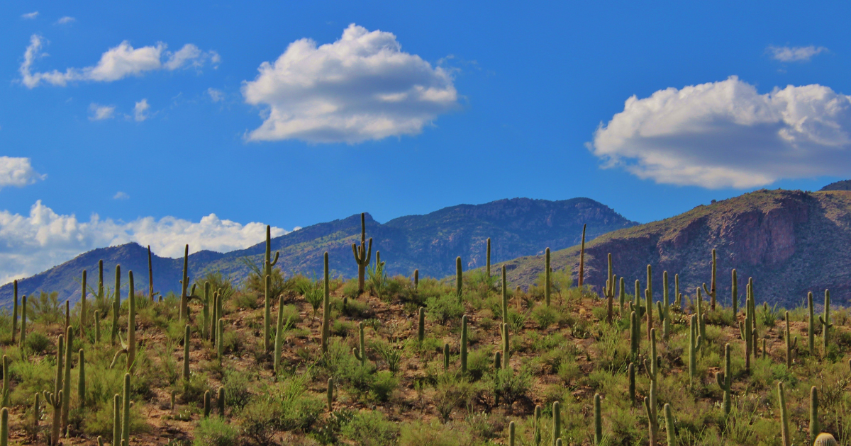 Maricopa, Arizona divorce mediation