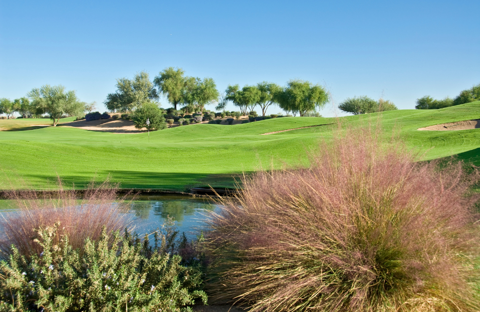 Sun City, Arizona divorce mediation
