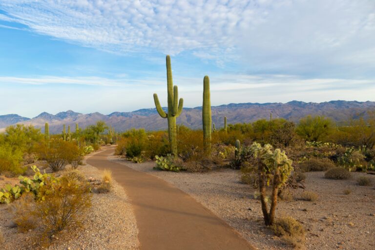 Arizona divorce mediation cost 2025