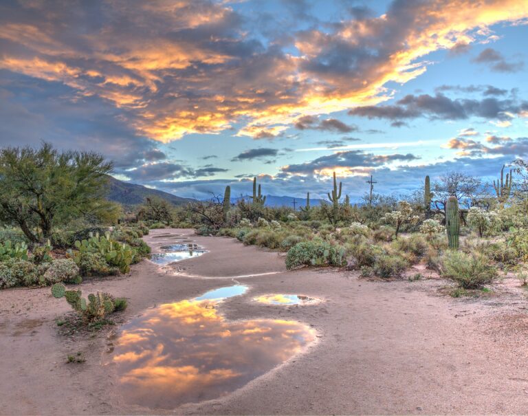 divorce mediation process Arizona