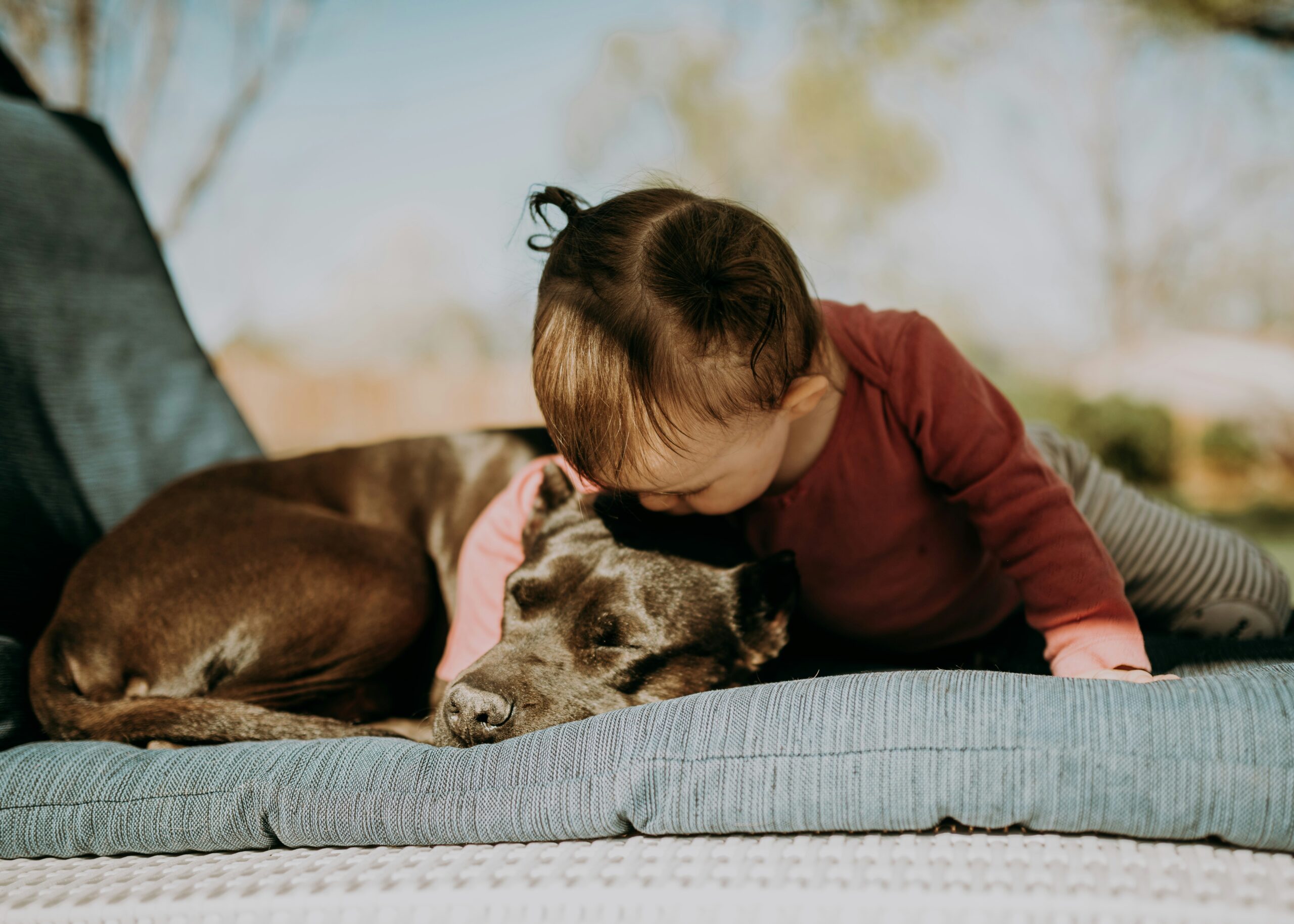 protecting children divorce mediation