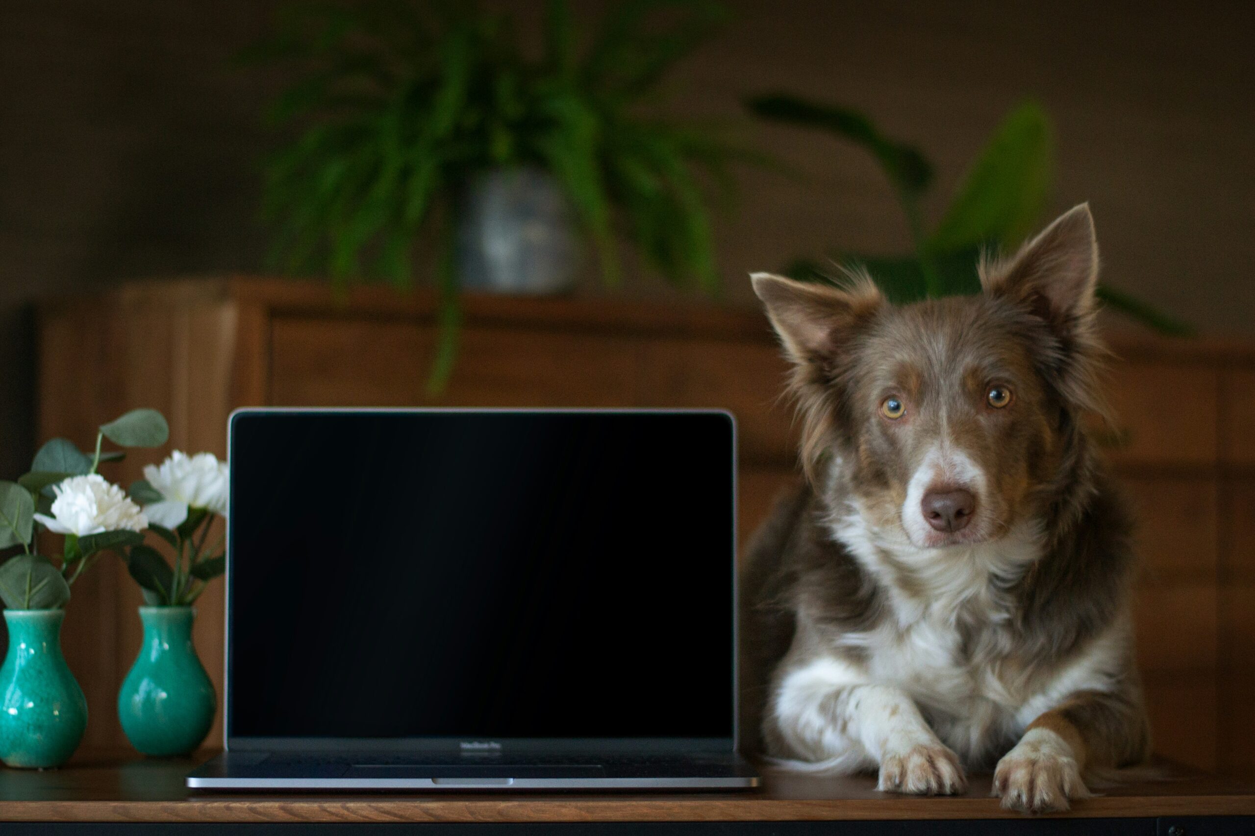 remote divorce mediation