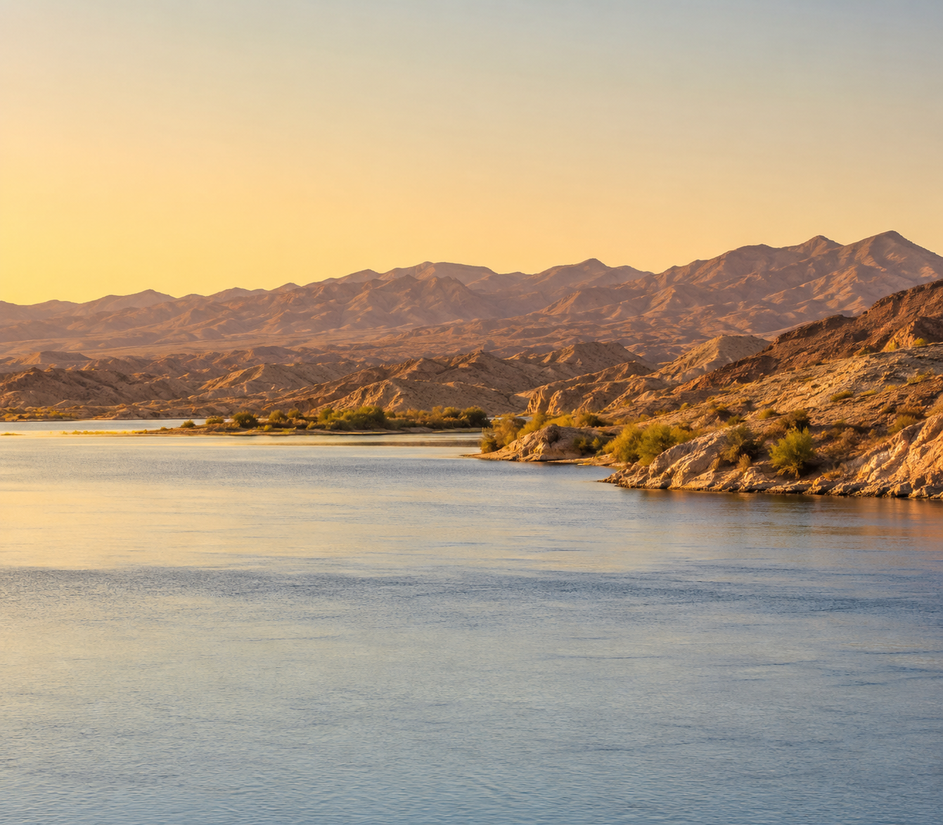 Desert landscape representative of Mohave County, Arizona