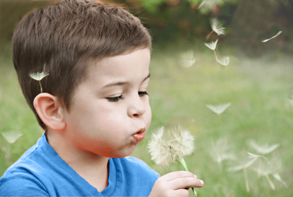 This is an image of a young child blowing seeds off a dandelion.