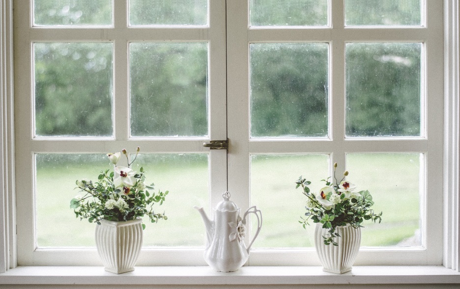 This is an image of two plants on a windowsill, with a white teapot between them.