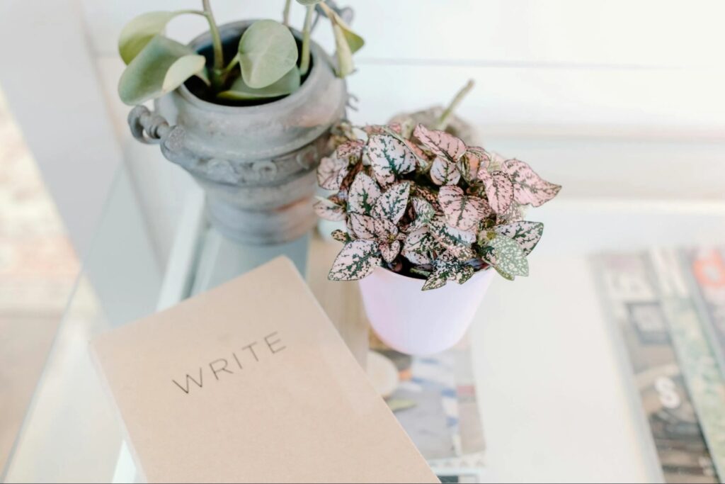 This is an image of a notebook and some plants on a glass table.