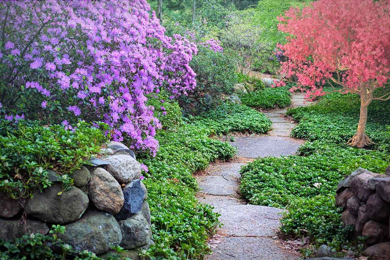 This is an image of a stone path winding through a garden.
