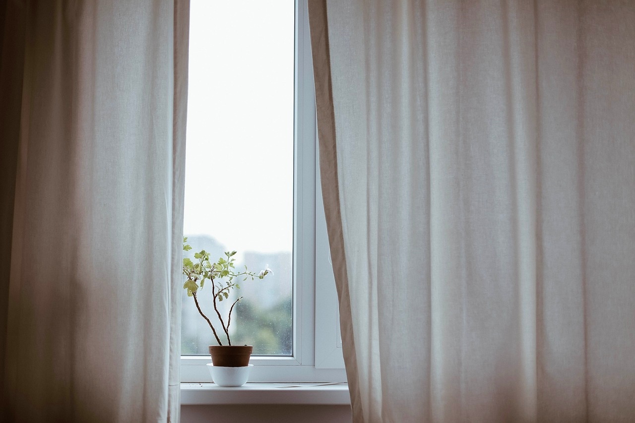 This is an image of a plant on a windowsill, with curtains on either side.