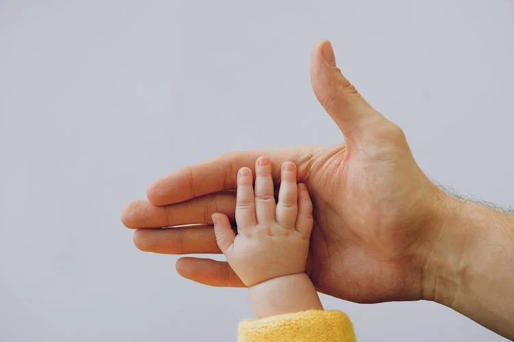image of an adult hand holding a child's hand
